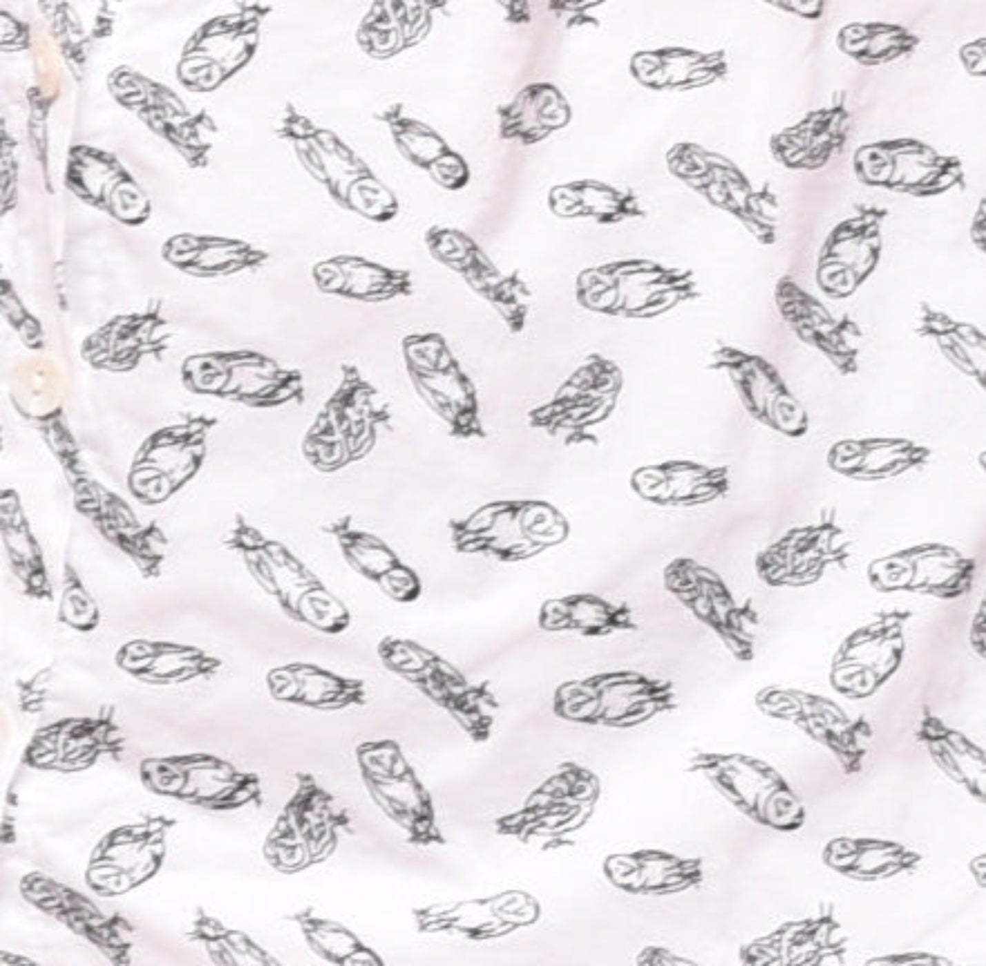 FINAL SALE CV248 Lulu Button Down in Owl*